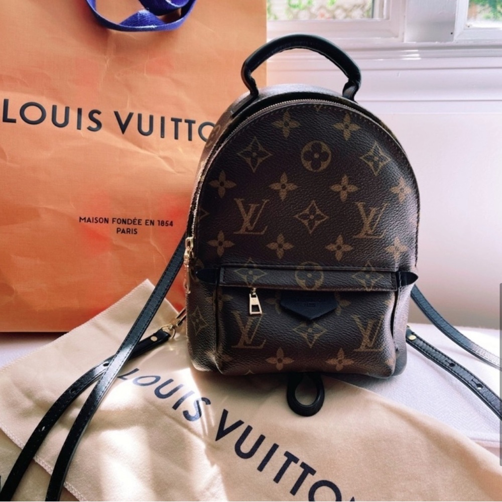 Louis Vuitton Palm Springs Mini Backpack